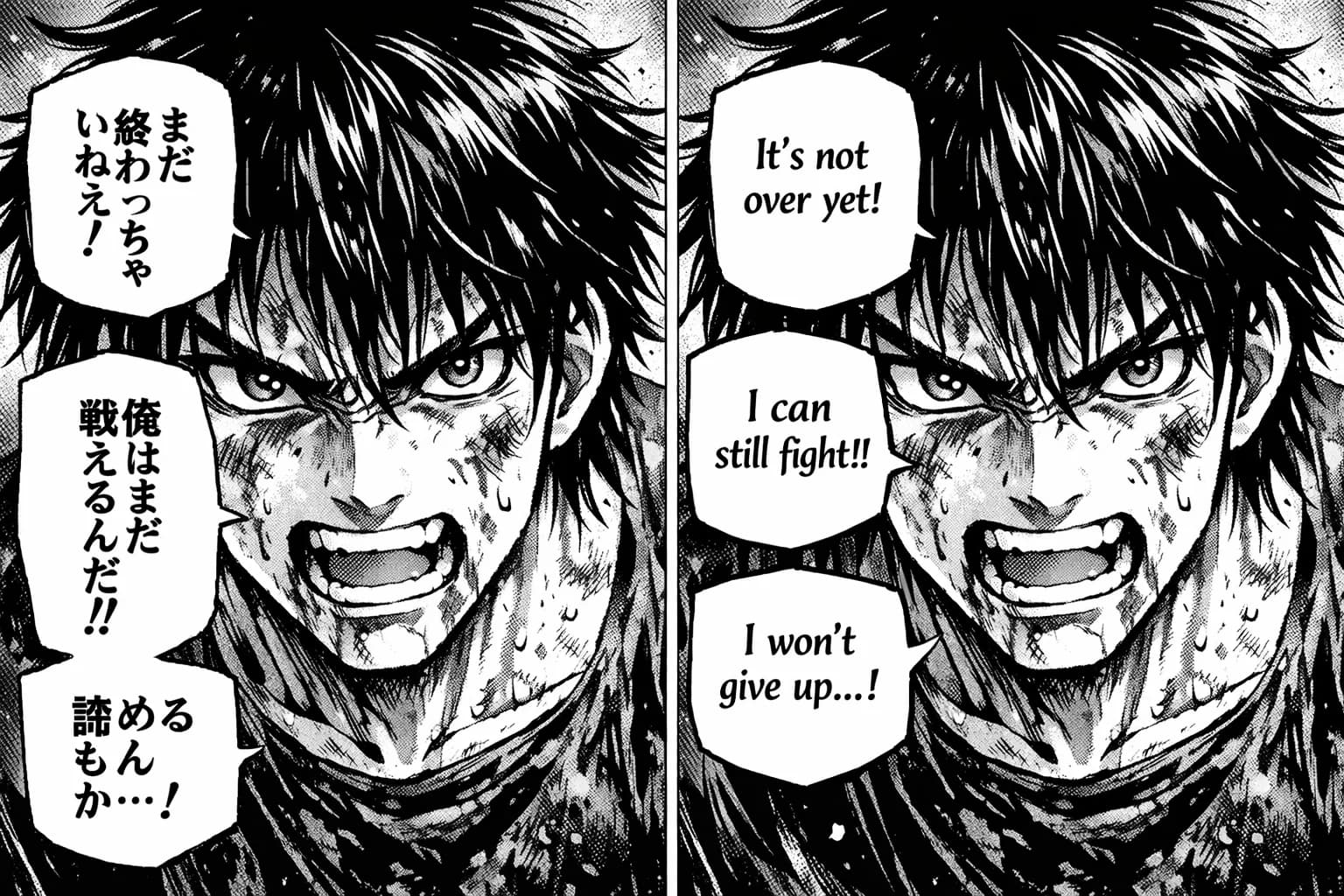 Split screen showing Japanese to English manga translation